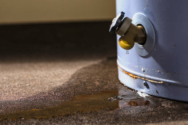 Best Water damage restoration company  in Belvedere Park, GA