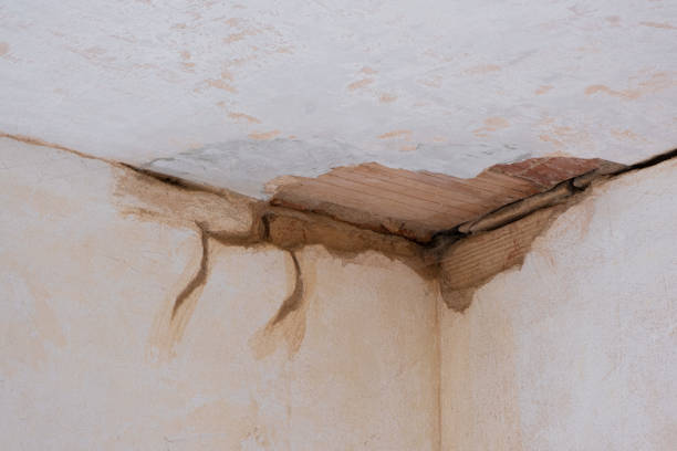 Best Mold removal after water damage  in Belvedere Park, GA