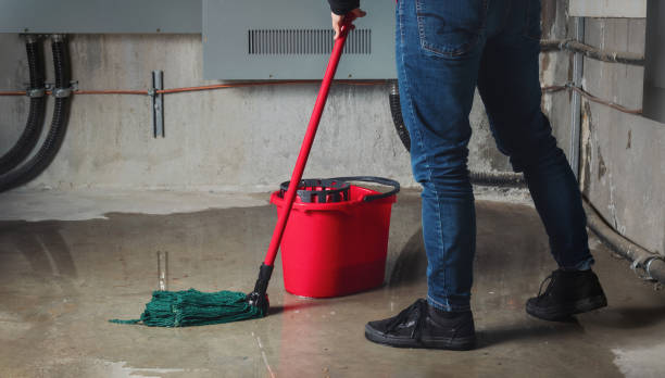 Best Residential water damage restoration  in Belvedere Park, GA