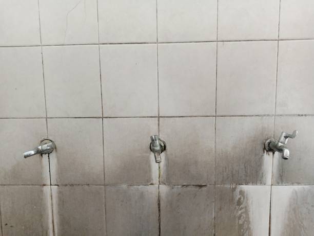 Carpet water damage restoration in Belvedere Park, GA