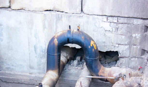 Best Professional water damage repair  in Belvedere Park, GA