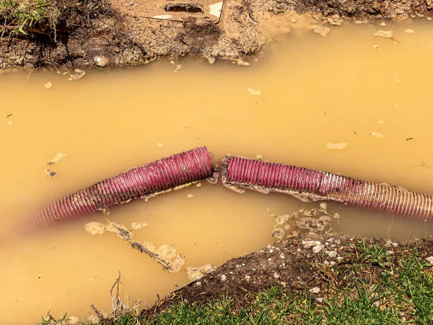 Best 24/7 water damage repair  in Belvedere Park, GA