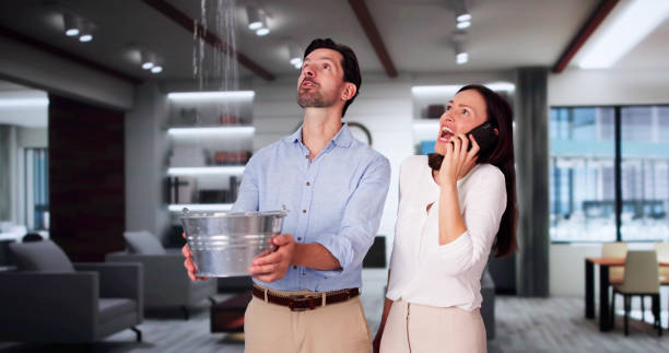 Best Professional water damage repair  in Belvedere Park, GA