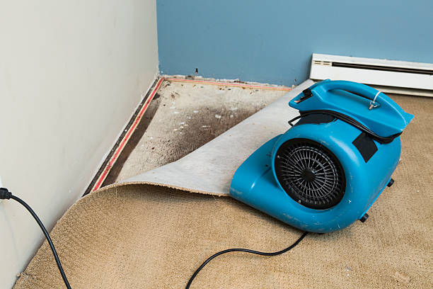 Best 24-hour water damage restoration  in Belvedere Park, GA
